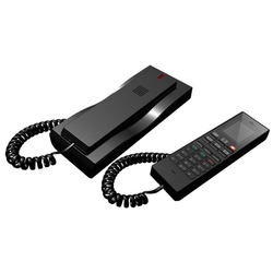 AEi SAX-8206-P - Двухлинейный VoIP DECT телефон
