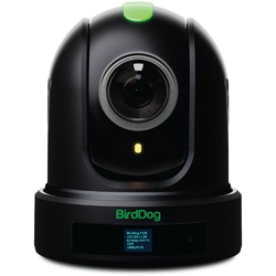 BirdDog P110 - PTZ камера