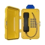 Termit PublicPhone WHS100FK.B-2G