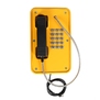 Termit PublicPhone WHS101FK-2G