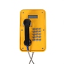 Termit PublicPhone WHS102FK-2G